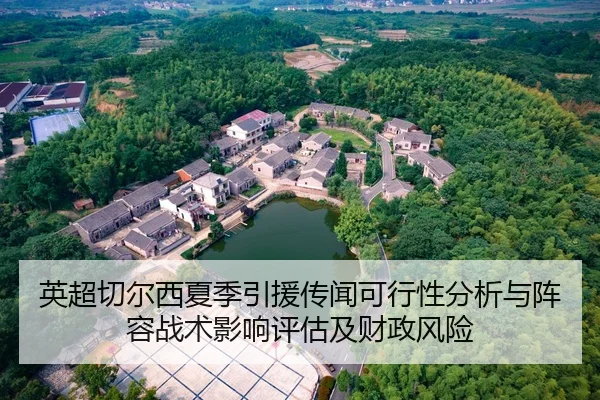 ying-chao-qie-er-xi-xia-ji-yin-yuan-chuan-wen-ke-xing-xing-fen-xi-yu-zhen-rong-zhan-shu-ying-xiang-ping-gu-ji-cai-zheng-2-518.jpg